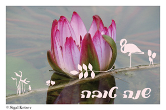 כרטיסי ברכה לראש השנה